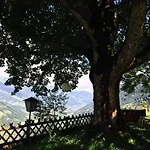 Couette-café Waldhaus Rudolfshoehe Bad Gastein