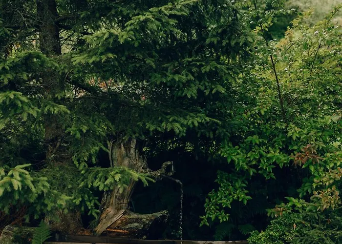 Waldhaus Rudolfshoehe 3* Bad Gastein